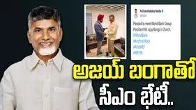 Chandrababu Naidu Davos Tour: ప్రపంచ బ్యాంక్ అధ్యక్షుడితో సీఎం చంద్రబాబు భేటీ..