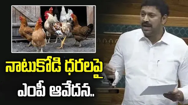 నాటుకోడి ధరలపై  ఎంపీ  అవినాశ్‌రెడ్డి ఆవేదన 