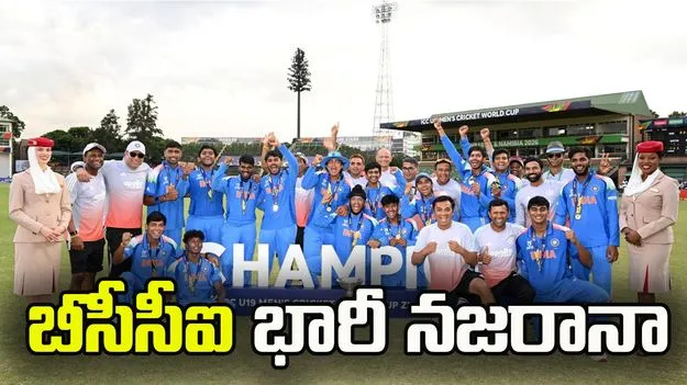 ప్రపంచ కప్ విజేత యువ భారత్‌కు బీసీసీఐ భారీ నజరానా