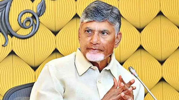 విశాఖ స్టీల్ ప్లాంట్‌కు ప్రభుత్వ సహాయ సహకారాలు: సీఎం చంద్రబాబు 