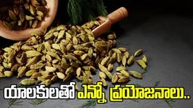 ప్రతి రోజూ యాలకులు తినడం వల్ల కలిగే ఆరోగ్య ప్రయోజనాలు..