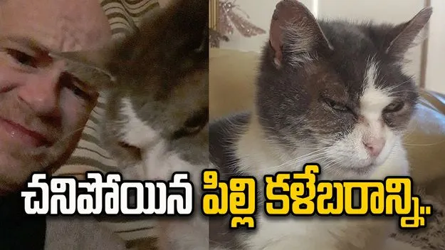 Cryogenically Frozen Cat: యజమాని ప్రేమ.. చనిపోయిన పిల్లి కోసం ఏకంగా.. 