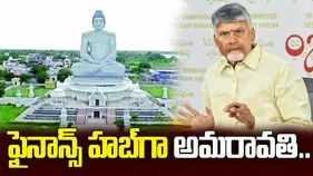 అమరావతిని ఫైనాన్స్ హబ్‌గా మారుస్తాం: సీఎం చంద్రబాబు