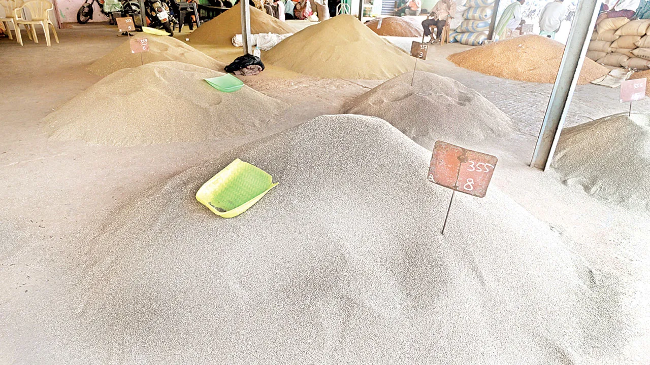 దగా పడుతున్న వాము రైతు 