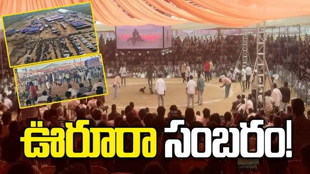 Godavari Districts: ఊరూరా సంబరం..