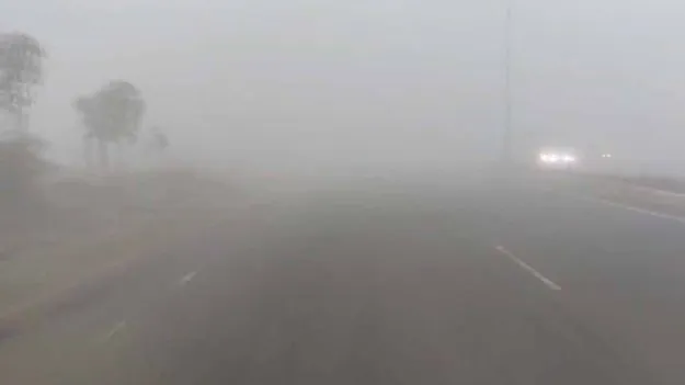 Dense Fog Vijayawada: విజయవాడ-హైదరాబాద్ హైవేను కమ్మేసిన పొగమంచు, వాహన రాకపోకలకు తీవ్ర అంతరాయం