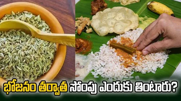 భోజనం తర్వాత సోంపు ఎందుకు తింటారో తెలుసా?