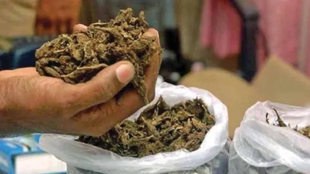 ఎక్సైజ్ సిబ్బందిని కారుతో ఢీకొట్టిన గంజాయి స్మగ్లర్లు..