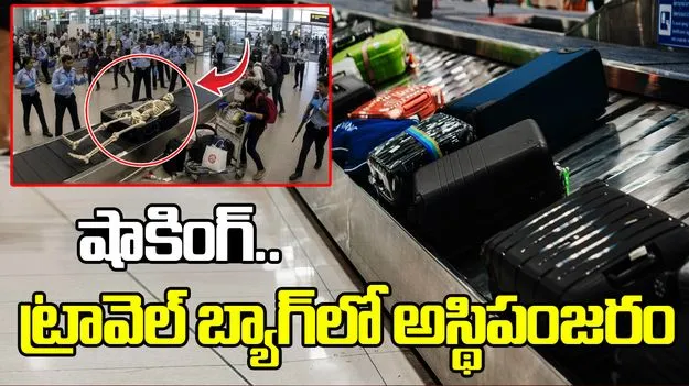 ఢిల్లీ ఎయిర్‌పోర్టులో కలకలం.. లగేజీలో అస్థిపంజరం..