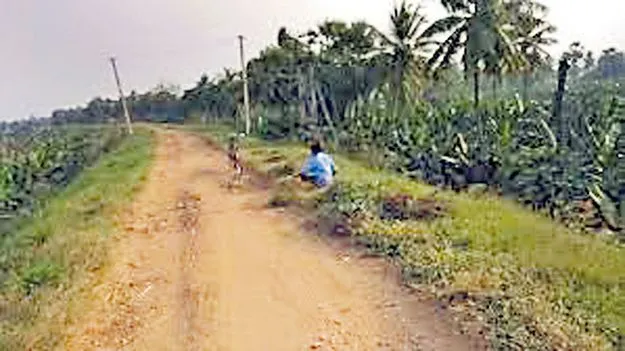 గోదారి..మారుతుందోచ్‌!