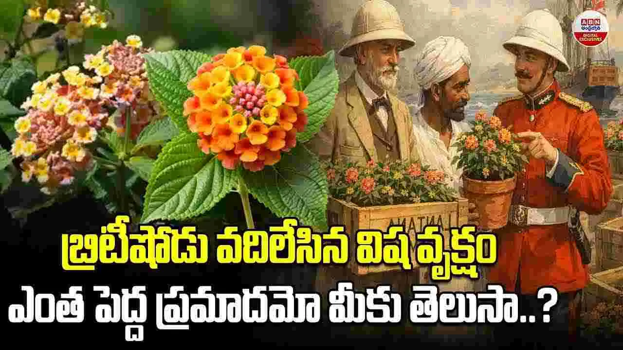 బ్రిటీషోడు వదిలేసిన విష వృక్షం