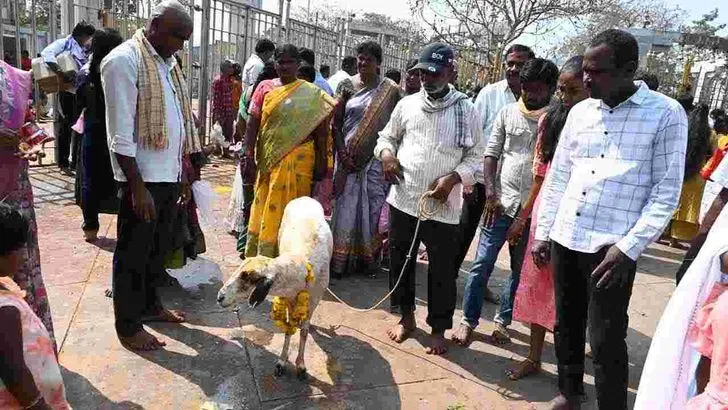 మేడారంకు పోటెత్తిన భక్తులు.. 