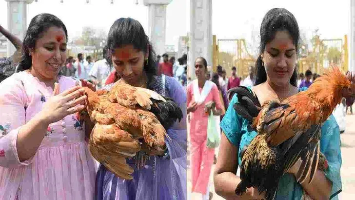 మేడారంకు పోటెత్తిన భక్తులు.. 