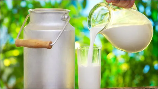 Milk Side Effects: రోజూ పాలు తాగుతున్నారా.. ఇది తప్పక తెలుసుకోవాల్సిందే..