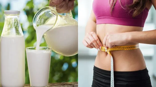 టోన్డ్ మిల్క్ లేదా నార్మల్ మిల్క్.. బరువు తగ్గడానికి ఏది మంచిది?