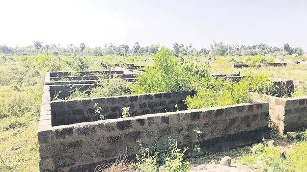 ‘రాక్‌ట్రీ’పై యాక్షన్‌