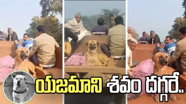 విశ్వాసానికి నిలువెత్తు రూపం.. యజమాని చనిపోయినా..