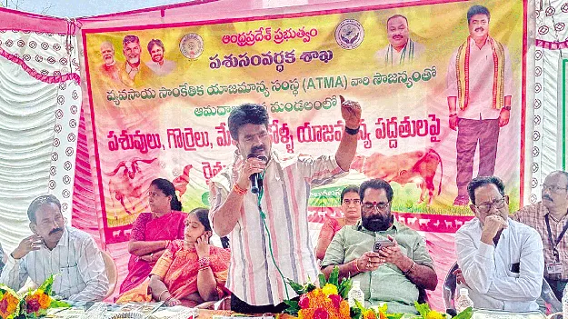 సమగ్ర పాడి అభివృద్ధికి చర్యలు: రవికుమార్‌