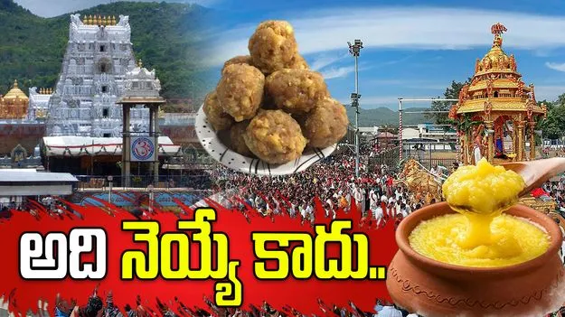 అది నెయ్యే కాదు