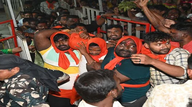 కొలువుదీరిన వనదేవతలు