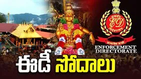 Sabarimala Gold Theft Case: శబరిమల బంగారం చోరీ కేసు.. కేరళ, కర్ణాటక తమిళనాడు రాష్ట్రాల్లో ఈడీ సోదాలు