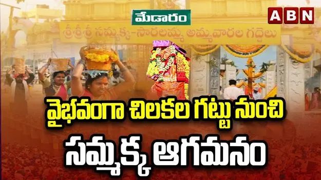 సల్లంగ చూసేందుకు సమ్మక్క వచ్చె!