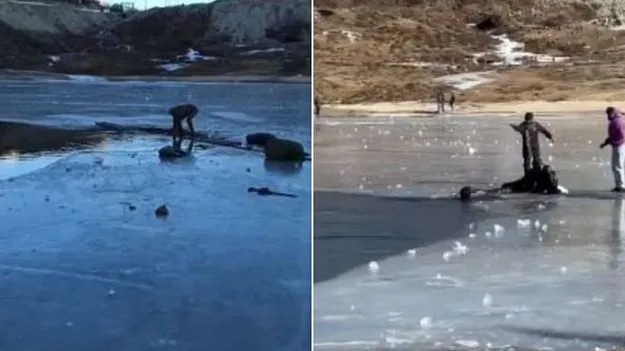 Sela Lake Accident: గడ్డకట్టి ఉన్న సరస్సుపైకి టూరిస్టులు! ఇంతలో భారీ ప్రమాదం