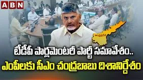 బడ్జెట్ సమావేశాలపై ఎంపీలకు సీఎం చంద్రబాబు దిశానిర్దేశం