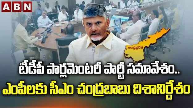 బడ్జెట్ సమావేశాలపై ఎంపీలకు సీఎం చంద్రబాబు దిశానిర్దేశం