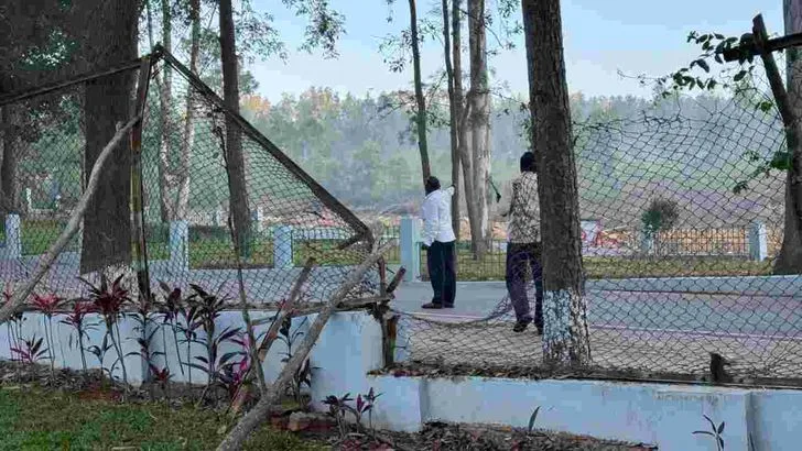 తిరుమలలో ఏనుగుల గుంపు హల్‌చల్‌