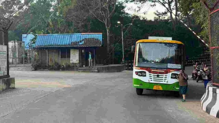 తిరుమలలో ఏనుగుల గుంపు హల్‌చల్‌