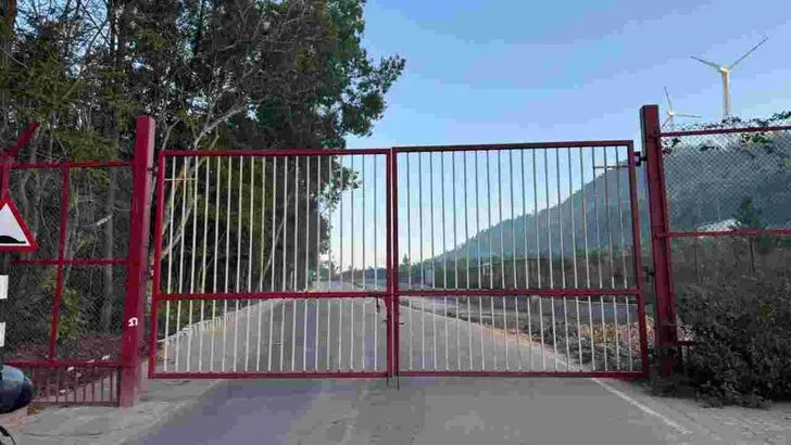 తిరుమలలో ఏనుగుల గుంపు హల్‌చల్‌