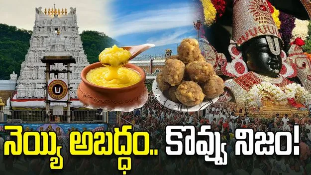 నెయ్యి అబద్ధం.. కొవ్వు నిజం!