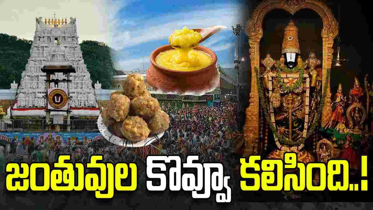 లడ్డూ నెయ్యిని కల్తీ చేశారనేందుకు అదే నిదర్శనం.!