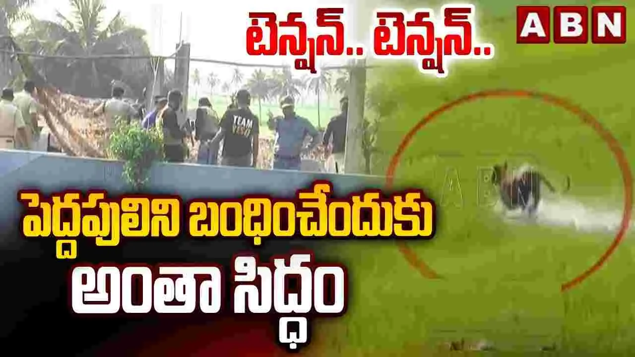 పెద్దపులి గాండ్రింపులు.. ఇళ్లపైకి ఎక్కిన గ్రామస్థులు..