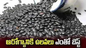 ఉలవలు తినడం వల్ల ఎన్ని ఆరోగ్య ప్రయోజనాలో తెలిస్తే.. అస్సలు వదలరు..