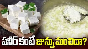 పనీర్ కంటే జున్ను మంచిదా?