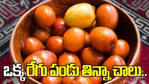 రోజూ ఒక రేగు పండు తింటే.. రోగనిరోధక శక్తి పెరుగుతుందా?