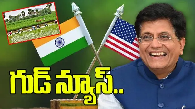 భారత రైతులకు పూర్తి రక్షణ.. ట్రేడ్‌ డీల్‌పై కేంద్ర మంత్రి పీయూష్ గోయల్