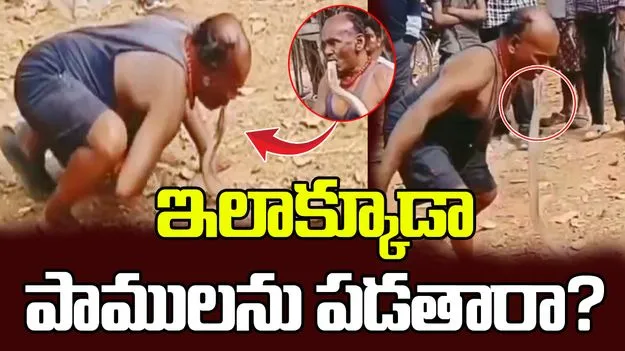 ఇలాక్కూడా పాములను పడతారా?.. పాము కాటేయబోతుంటే.. 