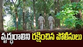 అడవిలో తప్పిపోయిన వృద్ధురాలు.. ఆ తర్వాత ఏమైందంటే..