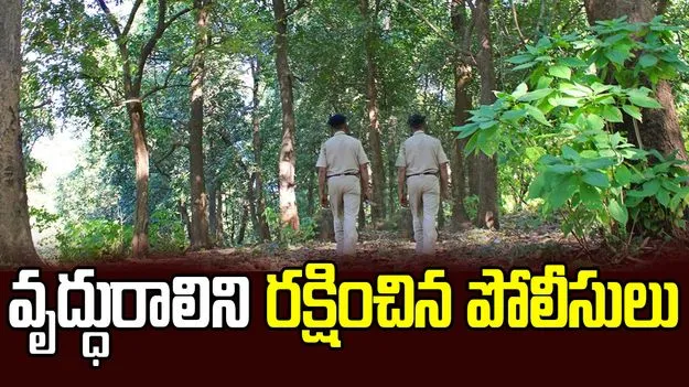 అడవిలో తప్పిపోయిన వృద్ధురాలు.. ఆ తర్వాత ఏమైందంటే..