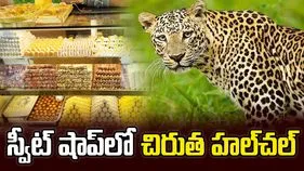 స్వీట్ షాపులో చిరుత.. చివరికి ఏం జరిగిందంటే? వీడియో వైరల్..