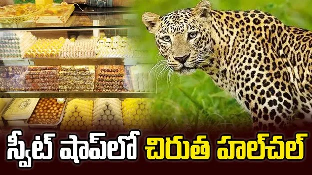 స్వీట్ షాపులో చిరుత.. చివరికి ఏం జరిగిందంటే? వీడియో వైరల్..