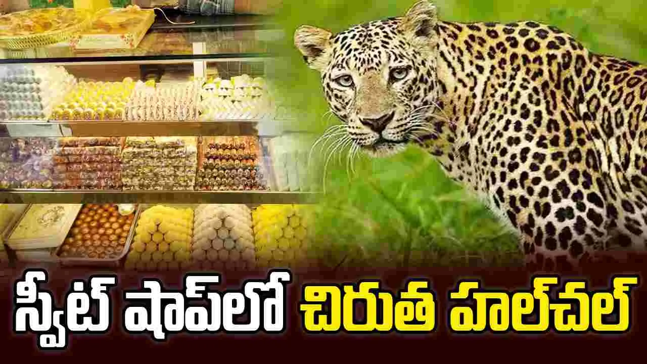 స్వీట్ షాపులో చిరుత.. చివరికి ఏం జరిగిందంటే? వీడియో వైరల్..