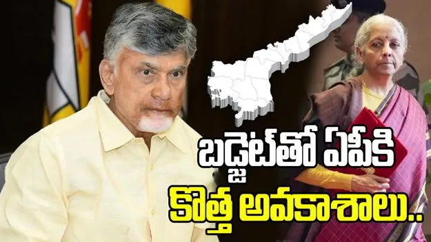 వికసిత్ భారత్ దిశగా బ్యాలెన్స్‌డ్ బడ్జెట్: సీఎం చంద్రబాబు