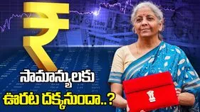 బడ్జెట్‌ 2026: సామాన్యులకు భారీ ఊరట.. ఈ వస్తువుల ధరలు తగ్గే ఛాన్స్.. 