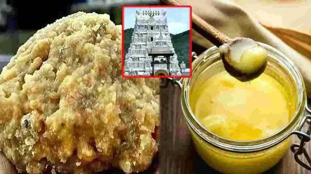 కల్తీ నెయ్యిపై డైవర్షన్‌ పాలిటిక్స్‌