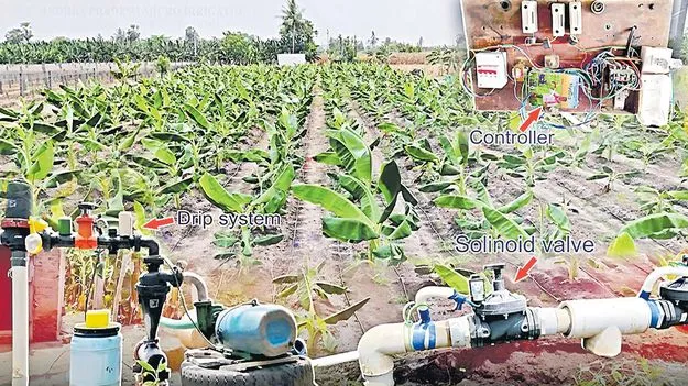 Agricultural Innovation: ఉద్యానరంగంలో గేమ్‌ చేంజర్‌ ఆటోమేషన్‌!
