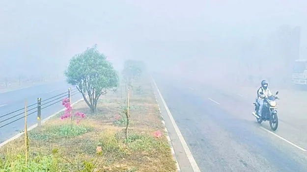 Weather Alert: పలు జిల్లాలకు పొగమంచు హెచ్చరిక